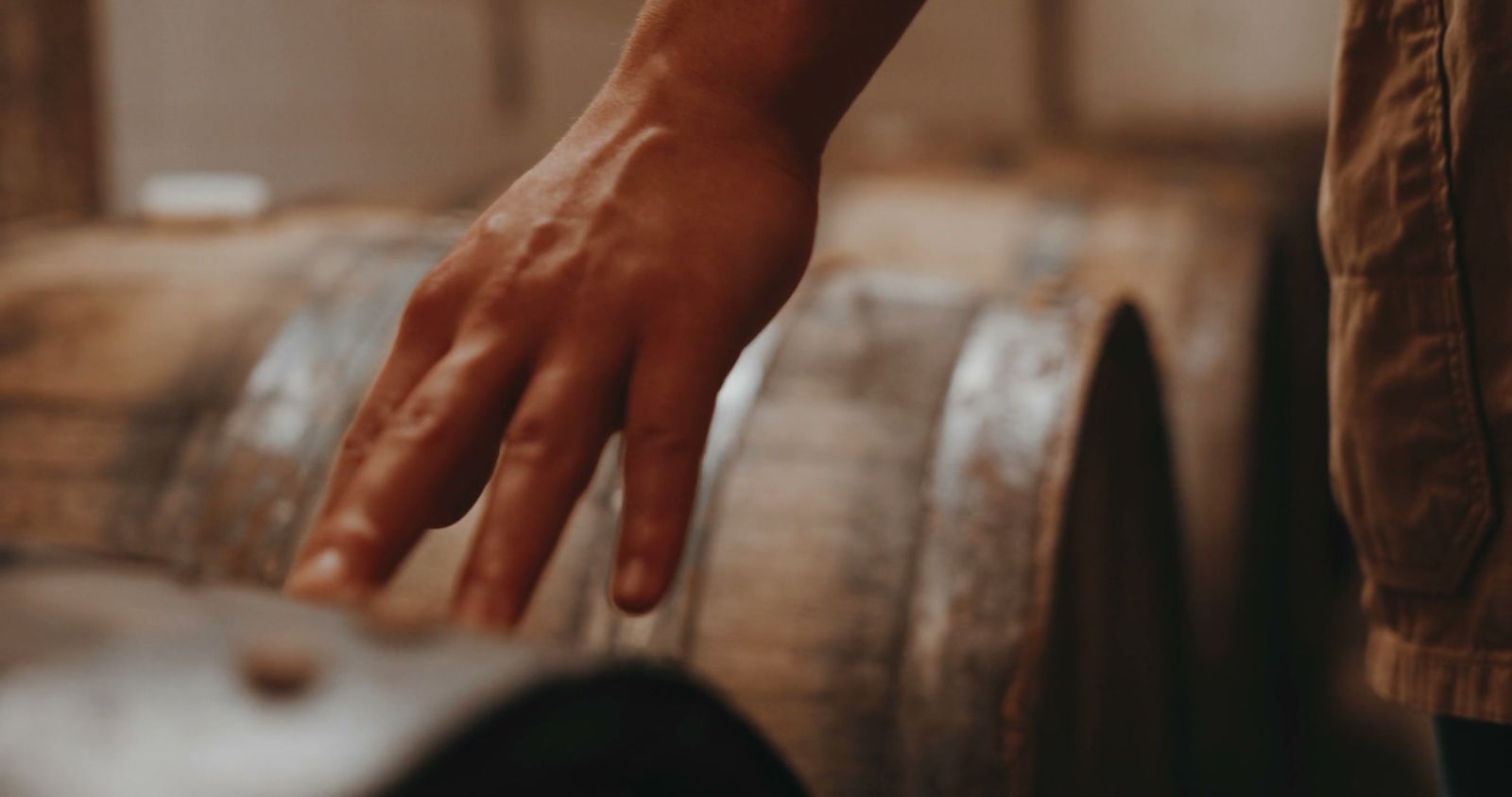 Una mano sfiora le botti di rovere in cantina