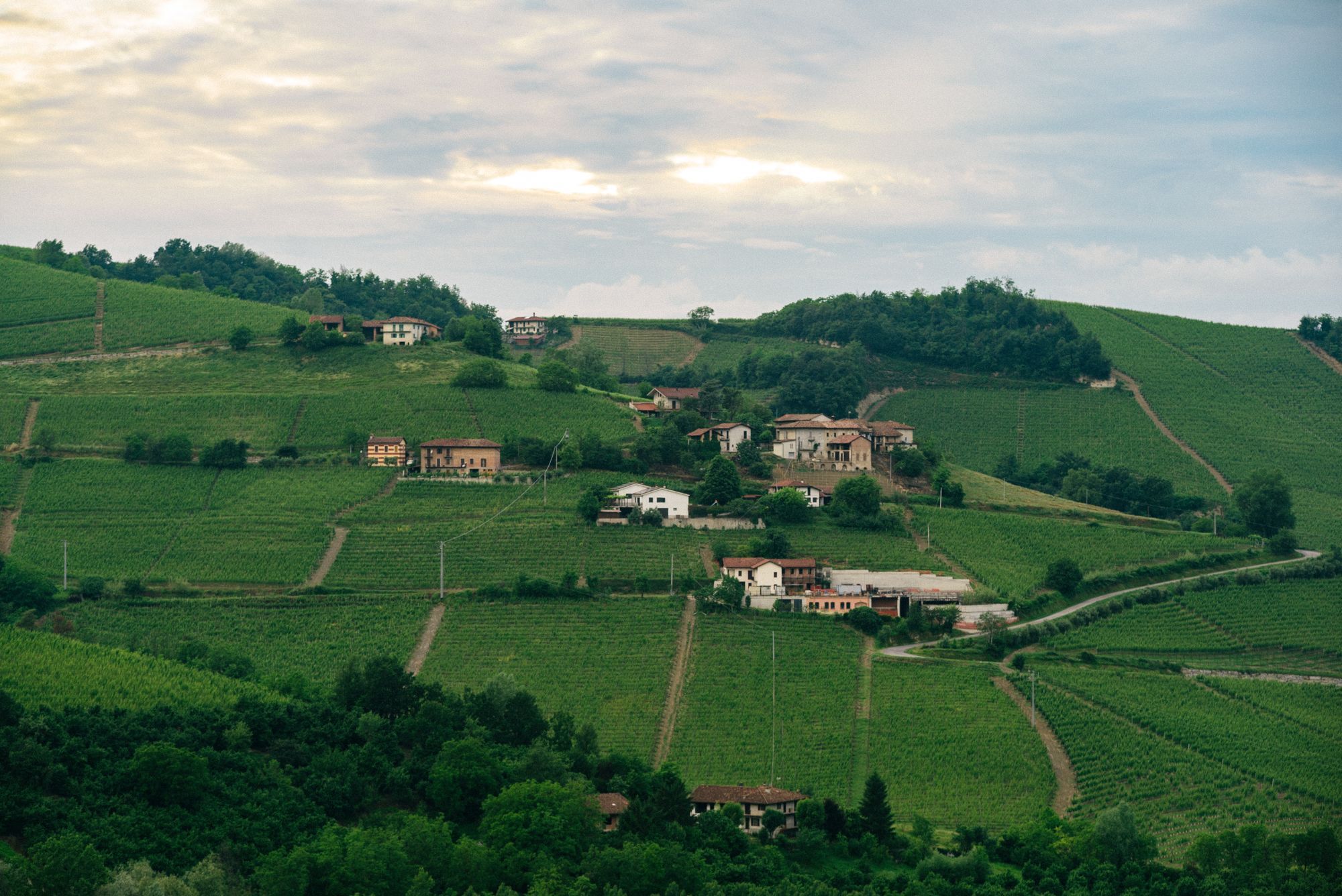 Una cascina tra i filari